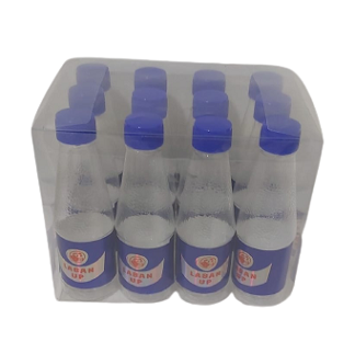 DISPOSABLE PLASTIC BOTTLES  SET OF 12