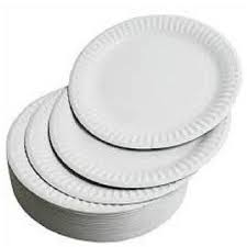 DISPOSABLE ROUND PAPER PLATES SET OF 100